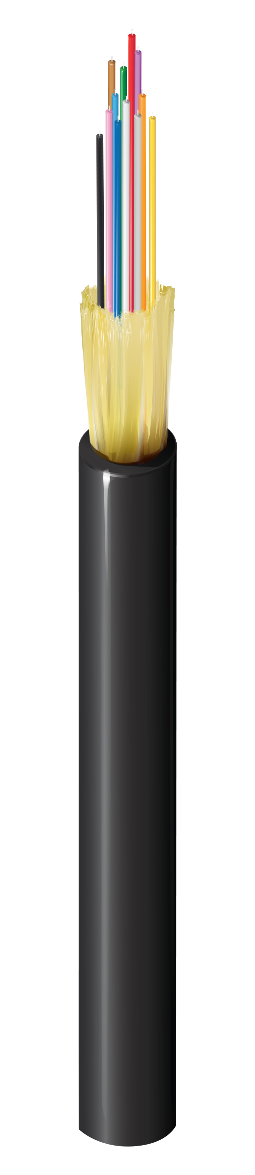 Distribution Tight Buffer Fiber Cable - NTAP53WA012BKAA