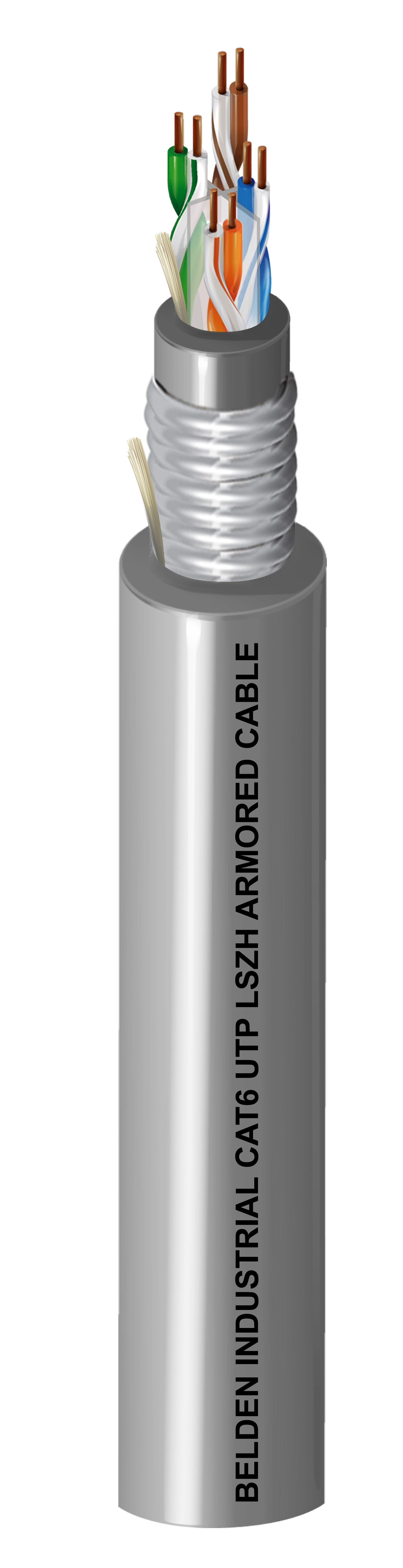 Category 6 Cable - 50106UAL