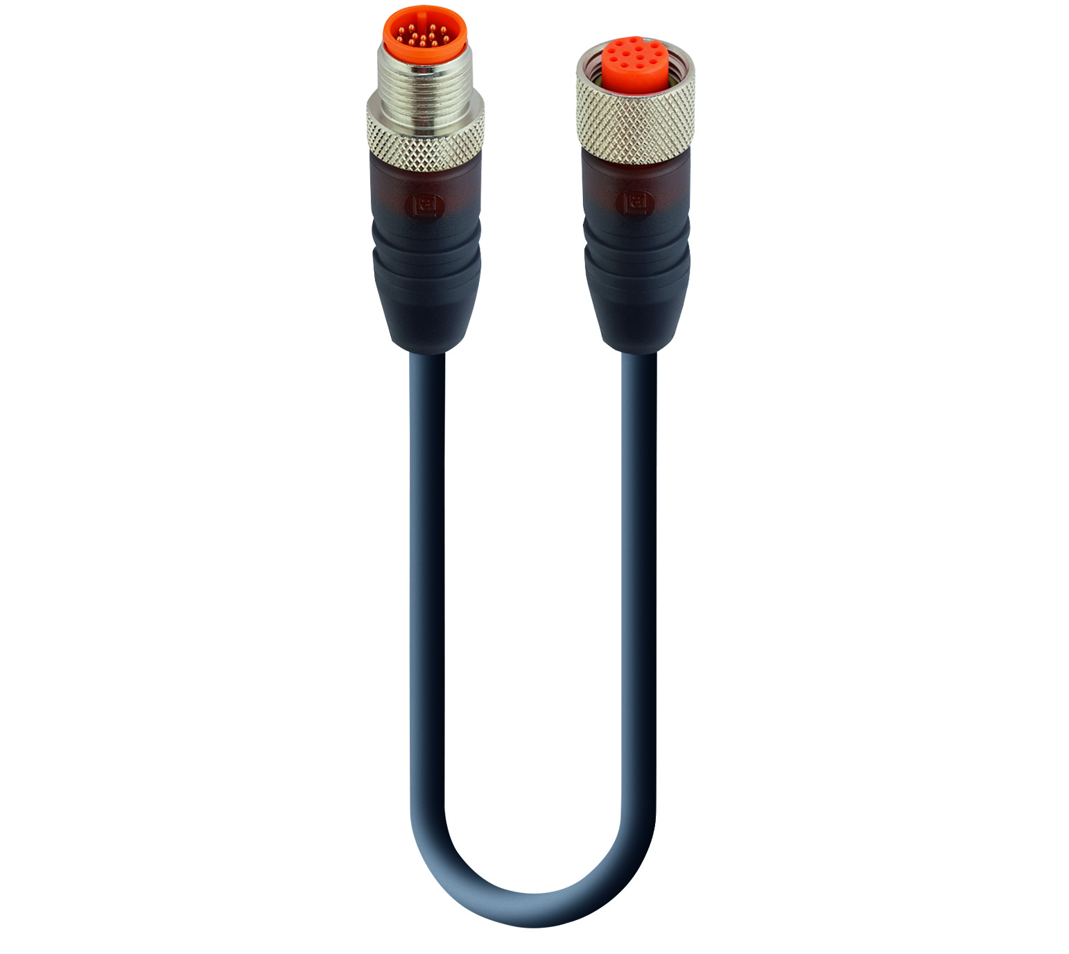 【同梱不可】 G 12-346 12-RKT RST - Series その他 加工食品