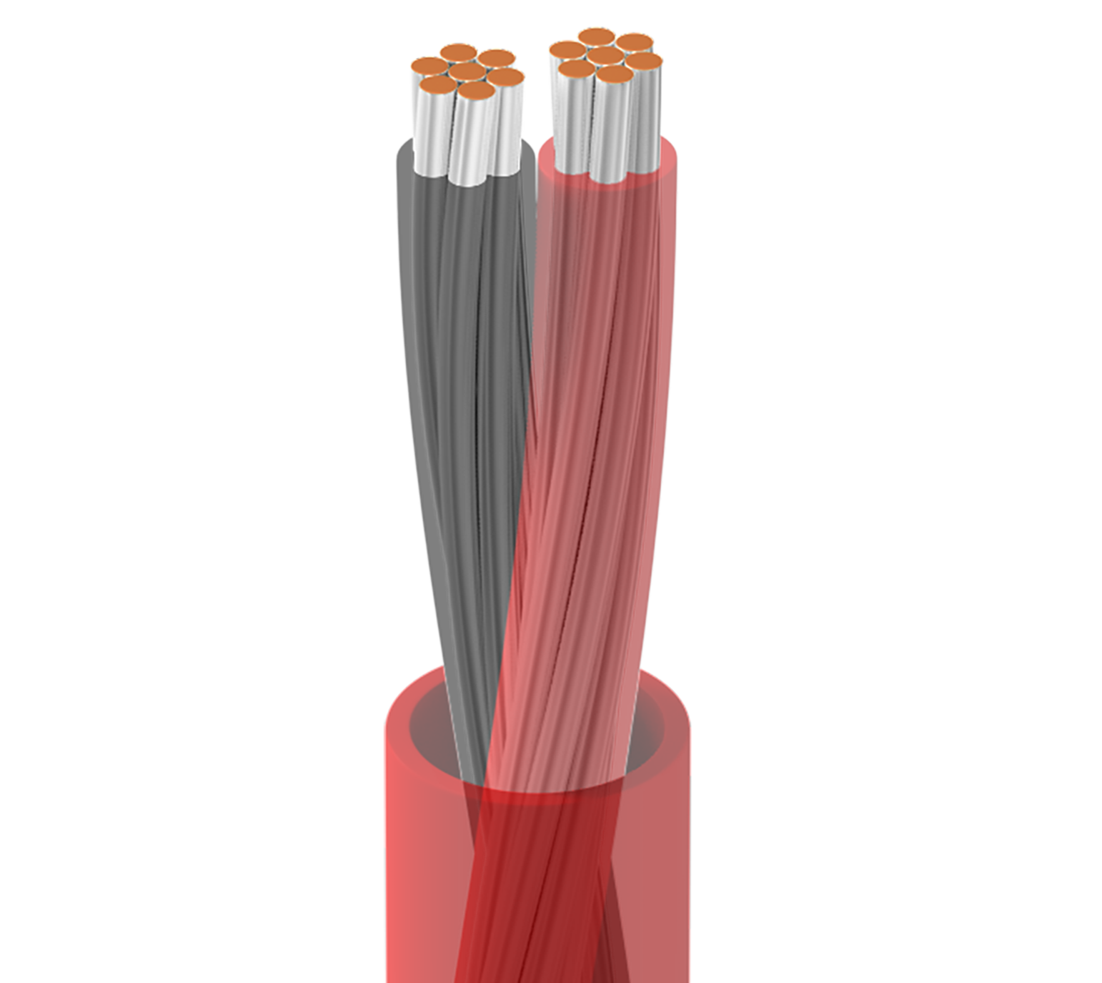Multi-Conductor Cable - 88442