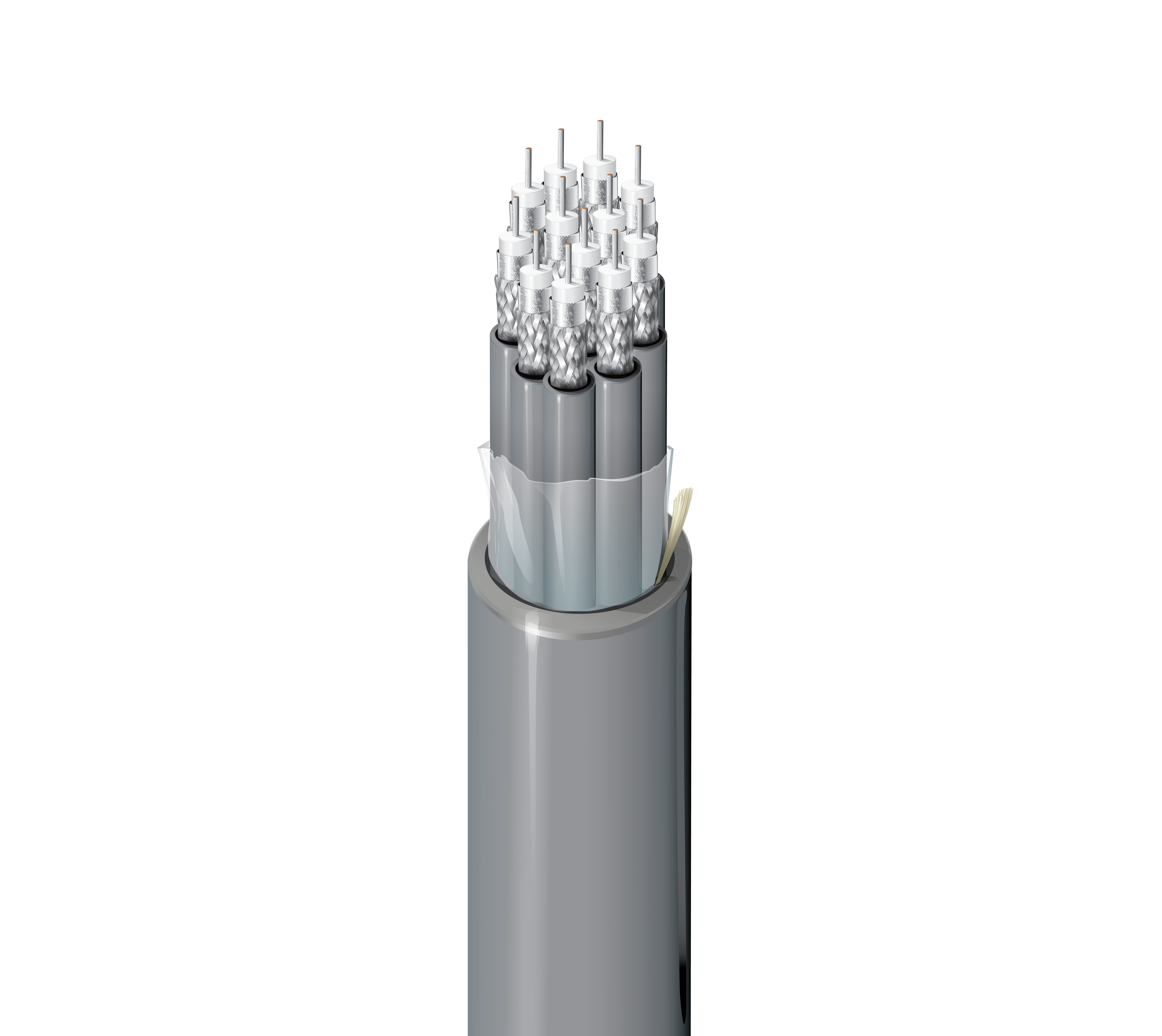 DS3 & DS4 Cable - 735C12 DS3 & DS4 Cable - 735C12
