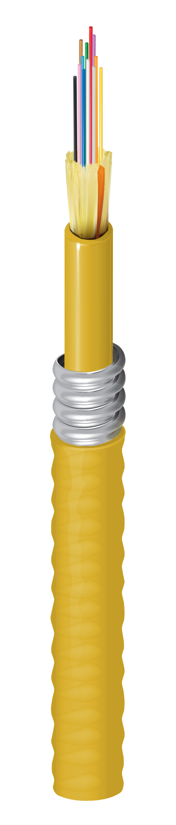 Distribution Tight Buffer Fiber Cable - FDSD012A9Y