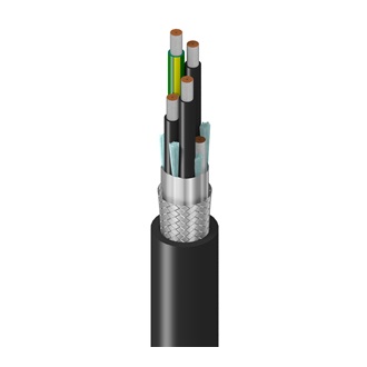 29503T
