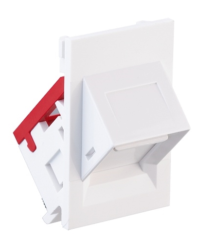 INSERT 6C FACEPLATE ANGLED