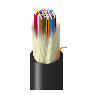 TF-1D9-024-RN5