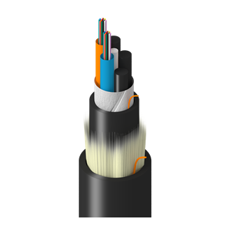 TF-1LG-024-R25