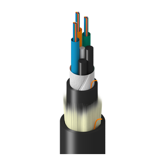 TF-1LG-036-R25