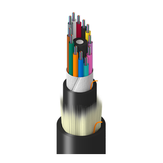 TF-4LG-144-R25