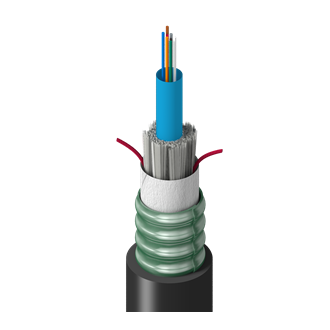 FS3C00860