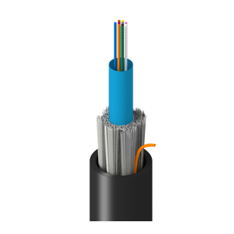 FS4C010N0