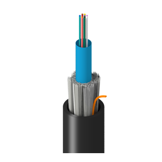 TF-3C0-012-RR5