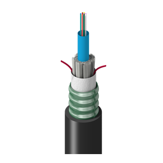 TF-3C0-012-RS5
