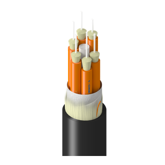 TT-1BB-006-LNN