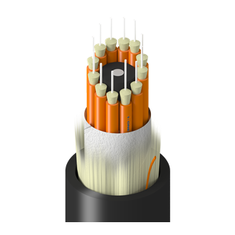 TM-1BB-012-LNA