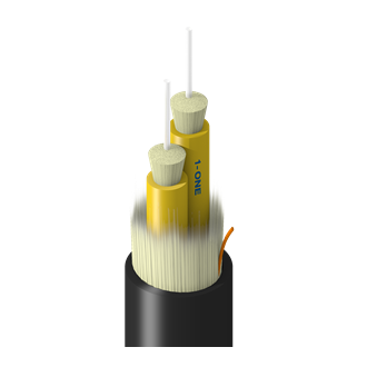 TF-SBB-002-RN5