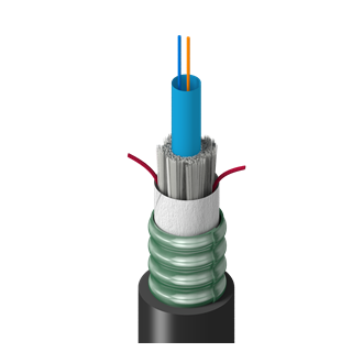 FS1C00260