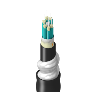 TT-3BB-006-LIN