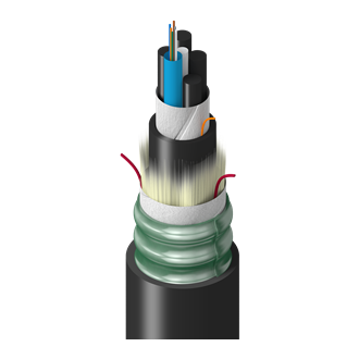 TR-SCN-024-NSU