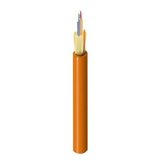 FDSM006P2