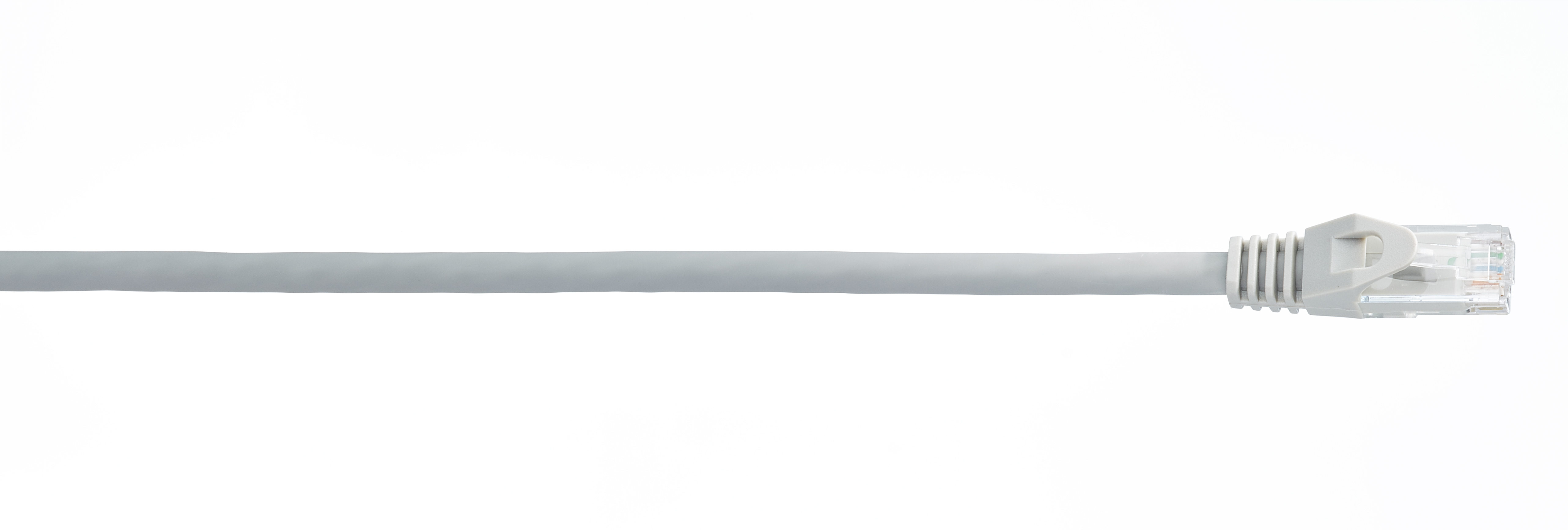 WireNet CAT6 Patch cord UTP