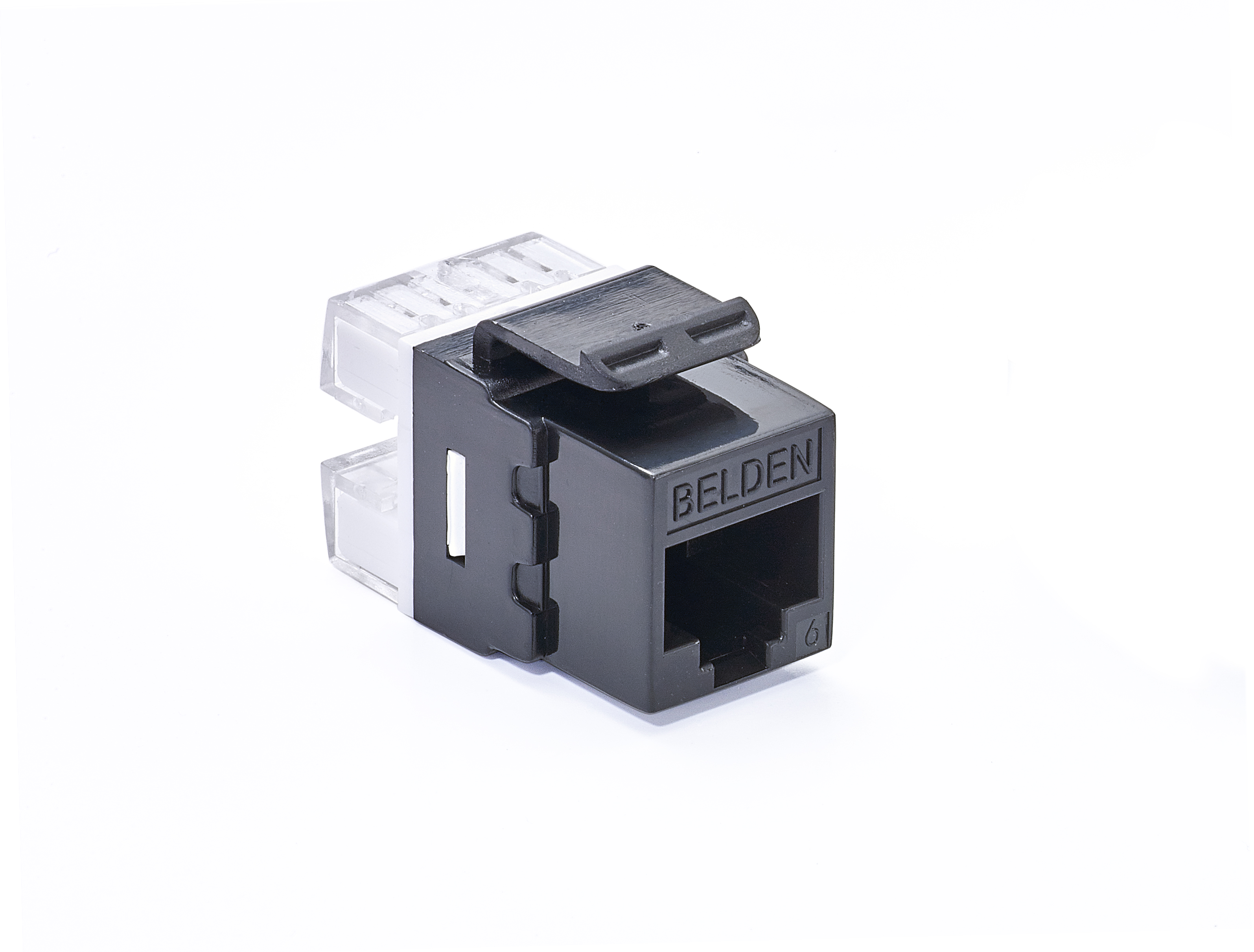 Specials - WireNet UTP CAT6 Jack