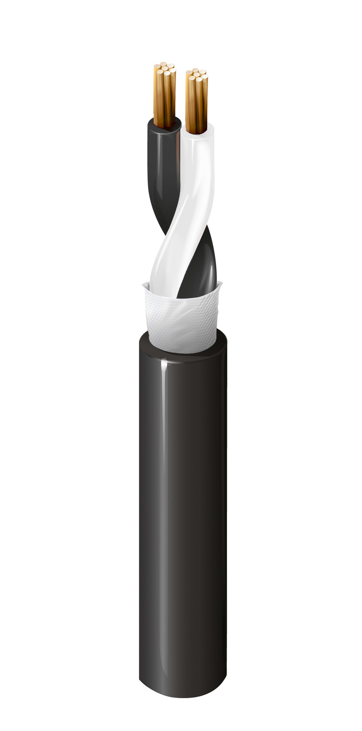 Speaker Cable - 8818WB